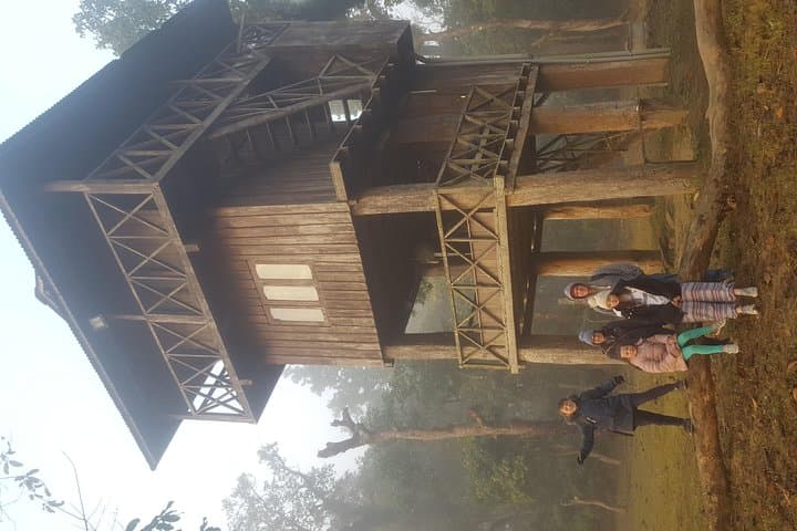 Jungle Tower Night Stay in Chitwan National Park — 2-Night Immersive Wildlife Package photo 5