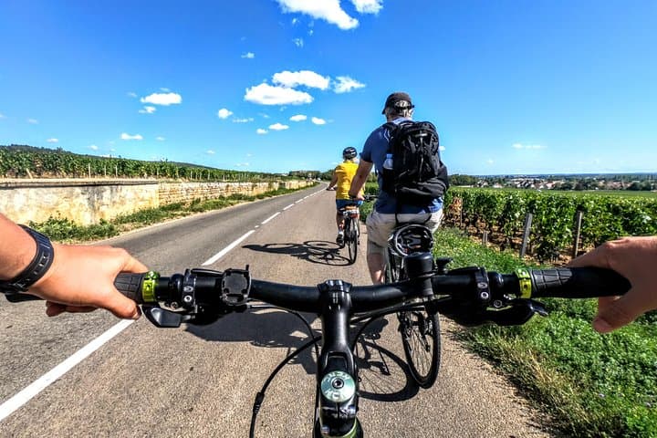 Cycle the Côte de Nuits: Bike Discovery and Vineyard Tasting from Chenôve