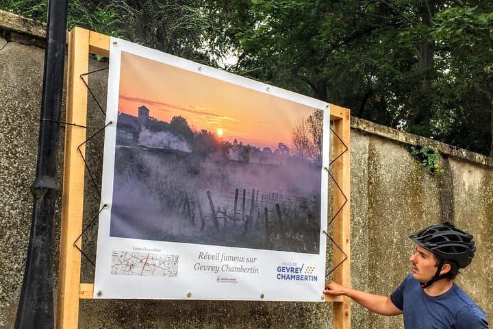 Cycle the Côte de Nuits: Bike Discovery and Vineyard Tasting from Chenôve photo 5
