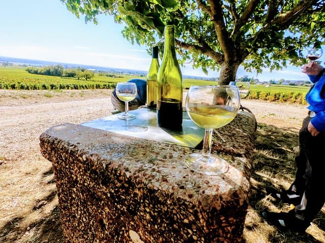 Cycle the Côte de Nuits: Bike Discovery and Vineyard Tasting from Chenôve photo 6