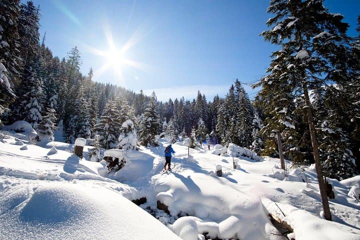Beginner Ski Touring in the Polish Tatras: 4-Hour Guided Tour from Zakopane photo 5