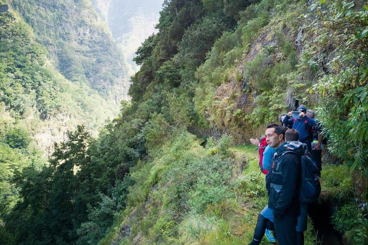 Madeira Levadas: Full-Day Hiking Through Laurissilva & Volcanic Valleys photo 4
