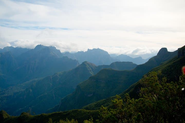 Madeira Levadas: Full-Day Hiking Through Laurissilva & Volcanic Valleys