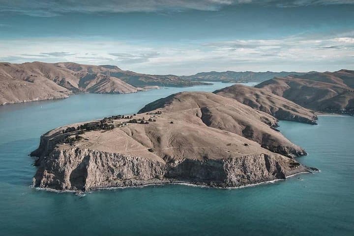 Discover the Hidden Trails of Godley Head: A Lyttelton Adventure photo 2