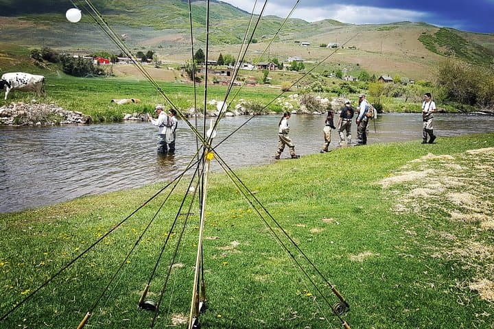 Guided Fly Fishing Near Park City: Expert-Led Half- and Full-Day Trips photo 5