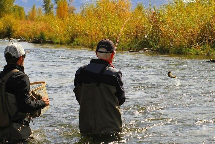 Guided Fly Fishing Near Park City: Expert-Led Half- and Full-Day Trips photo 2