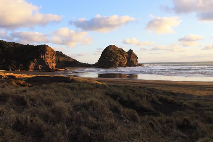 Wild West Coast Piha & Muriwai Day Tour from Auckland photo 2