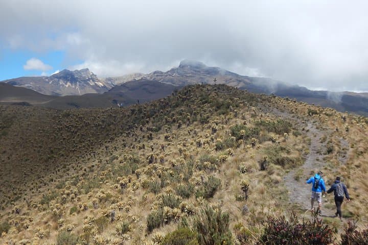 Discover Frailejones: 2-Day Páramo Trek to Romeral and Cocora Valley
