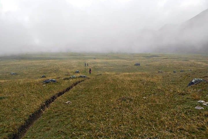 Discover Frailejones: 2-Day Páramo Trek to Romeral and Cocora Valley photo 5