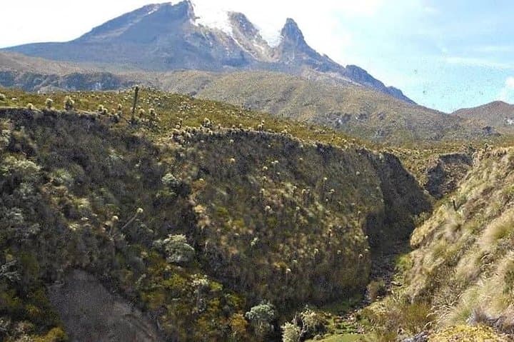 Discover Frailejones: 2-Day Páramo Trek to Romeral and Cocora Valley photo 6