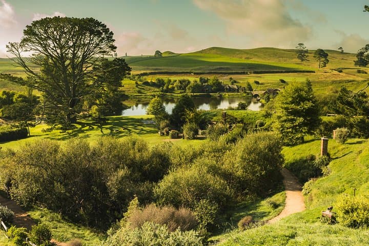 Private Hobbiton Movie Set Tour from Auckland — Full-Day Guided Shire Experience