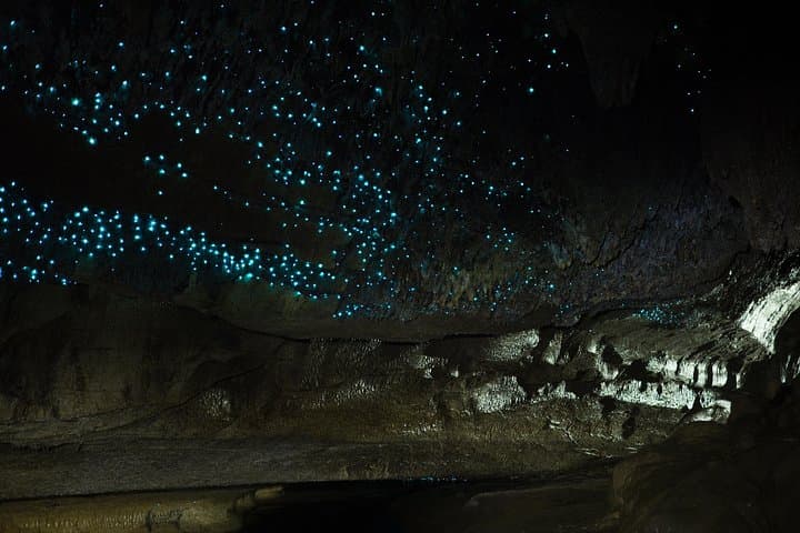 Private Waitomo Caves Tour: Glowworms, Black Water Rafting & Marokopa Falls