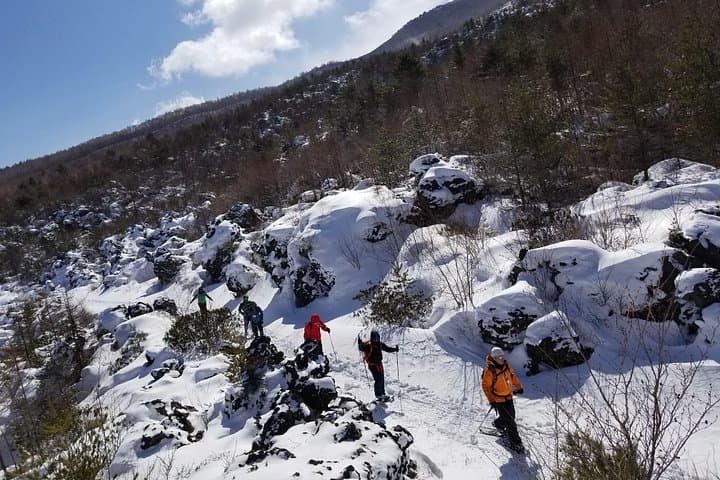 Snowshoeing Beneath Mt. Asama: Karuizawa Guided Winter Trek photo 2