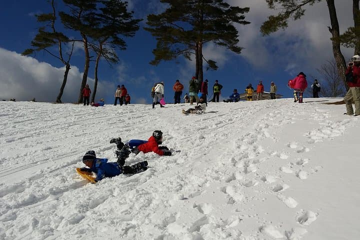 Snowshoeing Beneath Mt. Asama: Karuizawa Guided Winter Trek photo 4