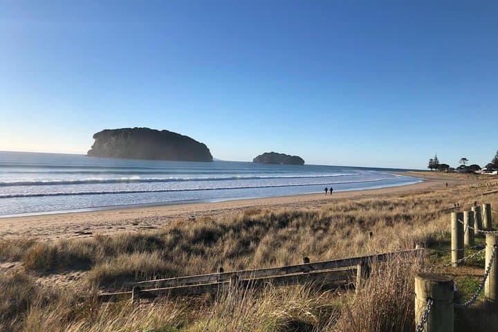 Private Coromandel Day Tour from Auckland — Cathedral Cove & Hot Water Beach photo 1