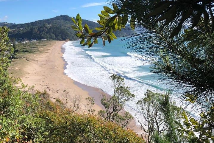 Private Coromandel Day Tour from Auckland — Cathedral Cove & Hot Water Beach photo 2