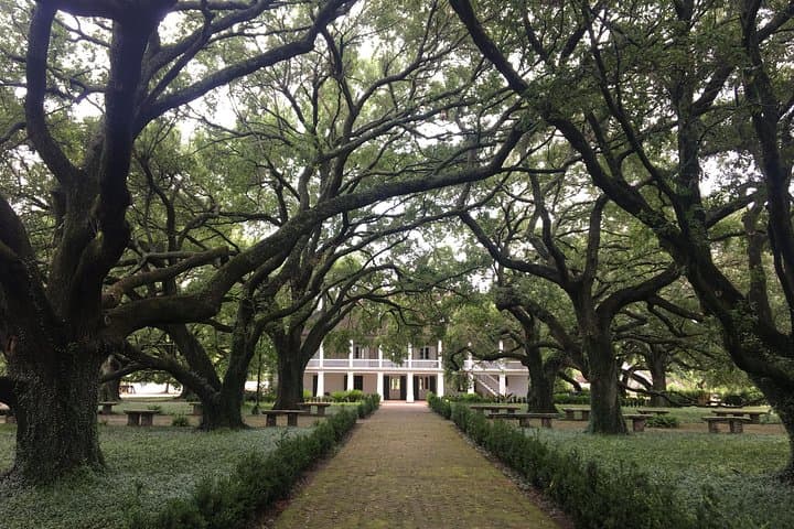Whitney Plantation and Louisiana Airboat Swamp Tour from New Orleans