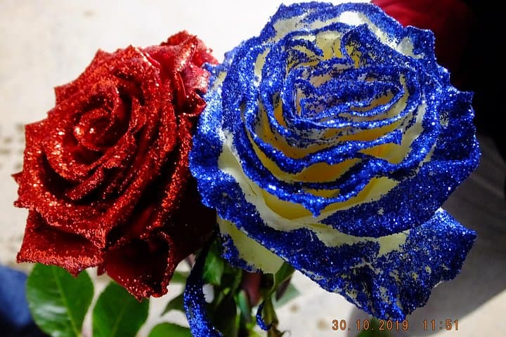 Otavalo Market & Roses: Full-Day Cultural Tour from Quito photo 4