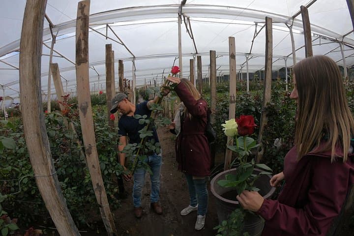 Otavalo Market & Roses: Full-Day Cultural Tour from Quito photo 1