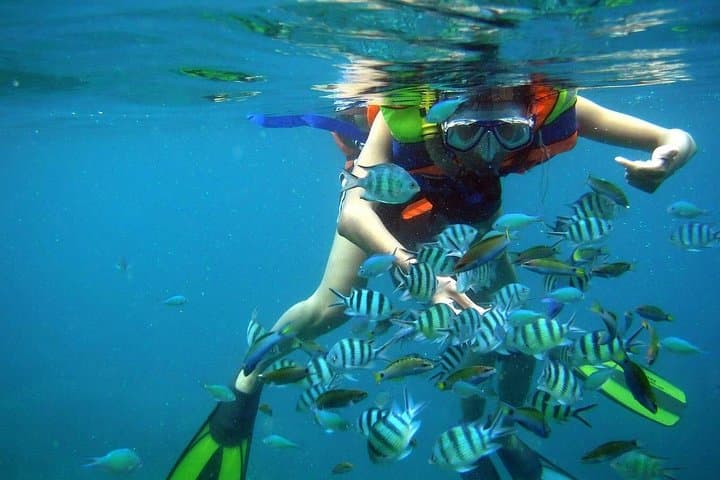 Nha Trang Bay Private Boat Tour — Snorkel Hon Mun’s Protected Coral Reefs photo 2
