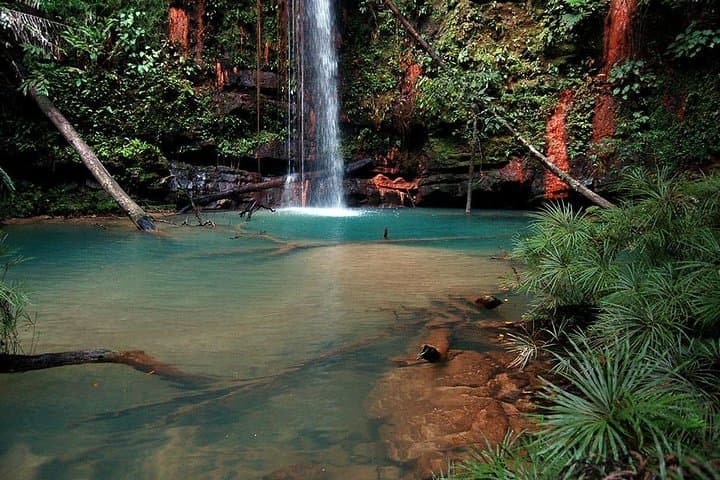 Lambir Hills Nature Excursion: Trek to Latak Waterfall, Swim & Birdwatching near Miri photo 3