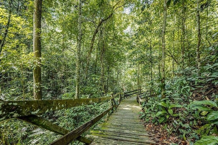 Borneo Tropical Rainforest Resort Trek: Waterfall Walks & Orchard Tractor Tour near Miri