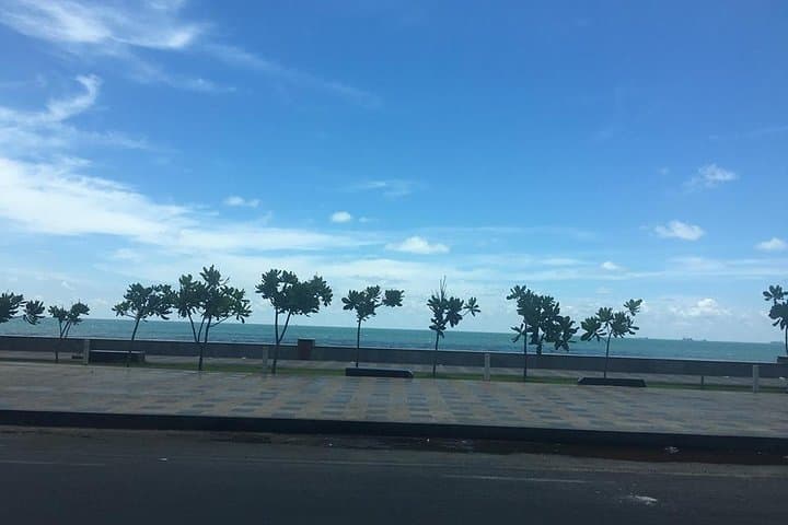 Vung Tau Shore Excursion from Phu My Port — Beaches, Buddha & Whale Temple photo 6