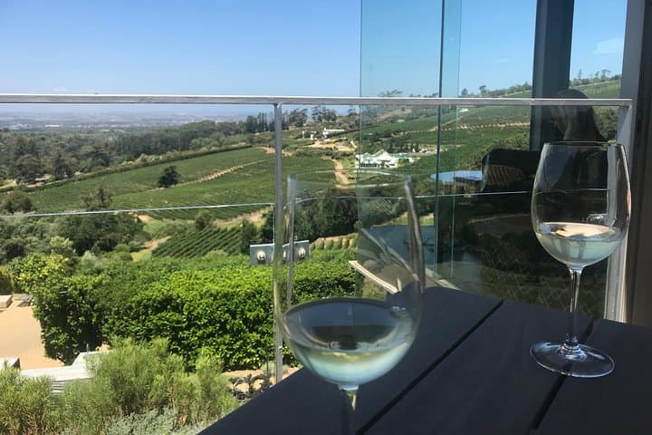 Private Constantia Wine Tour: Taste Cape Town's Oldest Vineyards photo 2