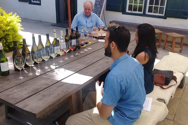 Private Constantia Wine Tour: Taste Cape Town's Oldest Vineyards photo 3