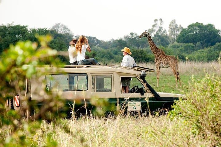 9-Day Kenya Classic Lodge Safari: Masai Mara, Nakuru, Amboseli & Tsavo