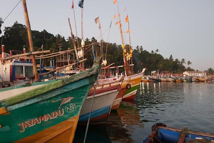 Galle Day Tour: Dutch Fort, Turtle Hatchery & Madu River Boat Ride photo 2