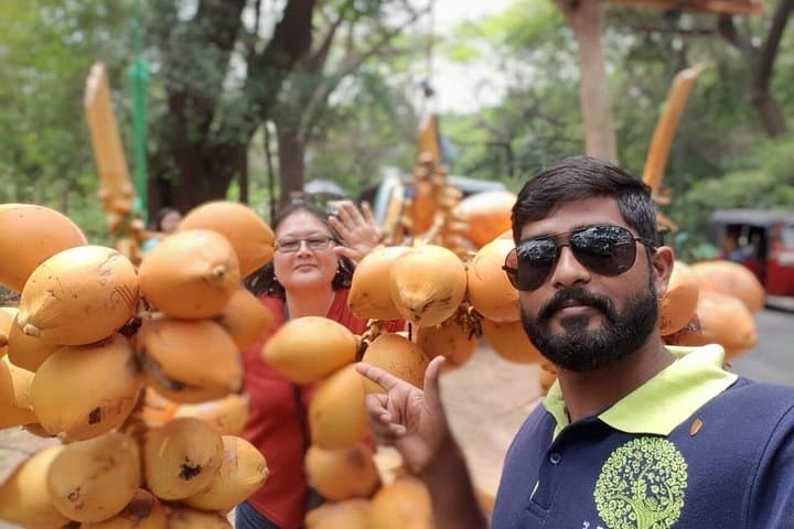 Galle Day Tour: Dutch Fort, Turtle Hatchery & Madu River Boat Ride photo 3
