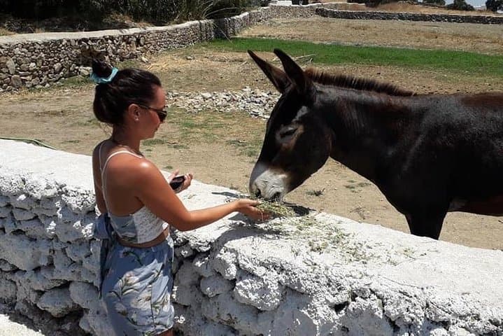 Grand Tour of Mykonos: Farm Lunch, Beaches & Iconic Windmills photo 4