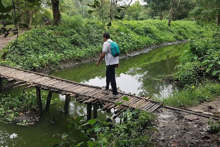 Kolkata Wetlands Walking Tour: Urban Wetland Walks, Fish Farms & Tea Shacks