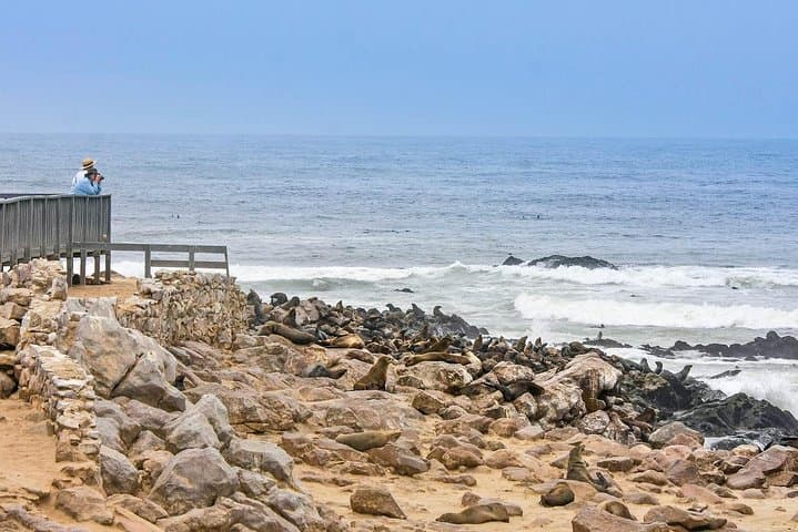 Full-Day Drive to Cape Cross: Seal Colony, Skeleton Coast & Lichen Plains