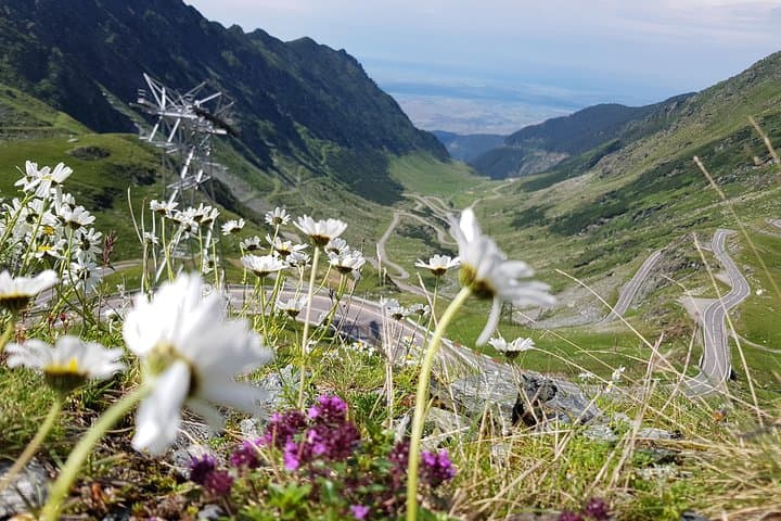 Transfagarasan Road Private Motorcycle Day Tour From Sibiu photo 5