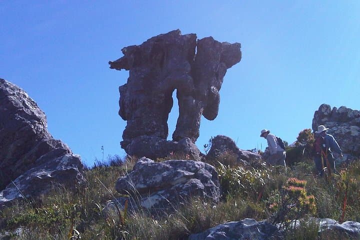Skeleton Gorge to Maclear's Beacon — Table Mountain Hike Guide photo 4