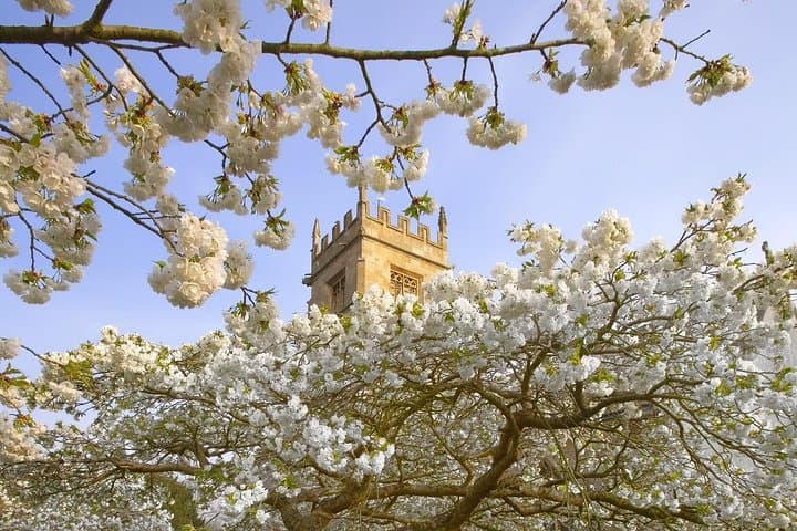 Cotswolds Small-Group Day Tour from London: Bourton, Bibury & Burford photo 6