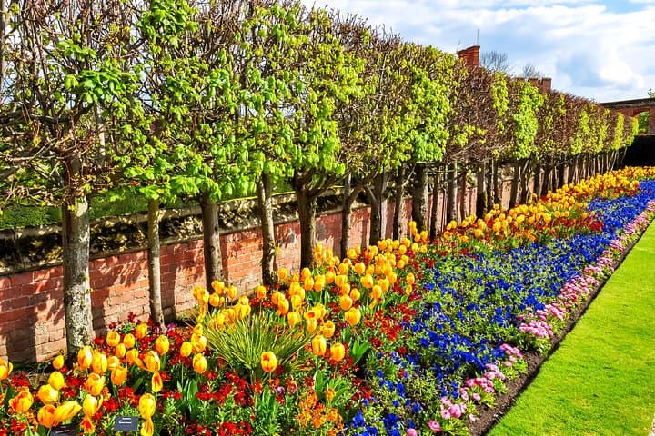 Kid-Friendly Hampton Court Palace Tour with Blue Badge Guide photo 3