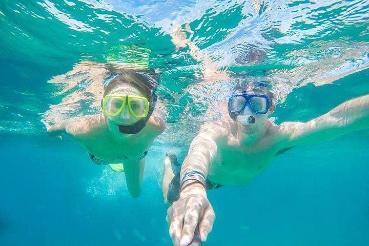 Snorkel Pelican Rock: Morning Trimaran Cruise & Marine Park Snorkeling in Cabo San Lucas