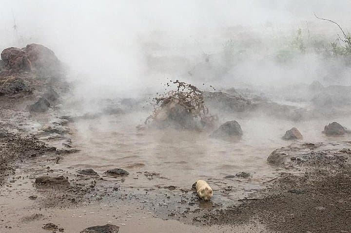 San Jacinto Mud Pits & Asososca Lagoon: León’s Outdoor Day Tour photo 6