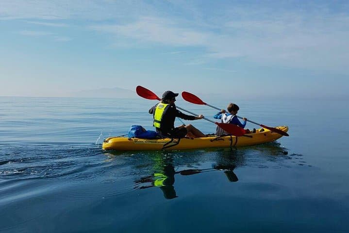 Sea Kayak with African Penguins — Paddle from Seaforth Beach, Cape Town photo 2