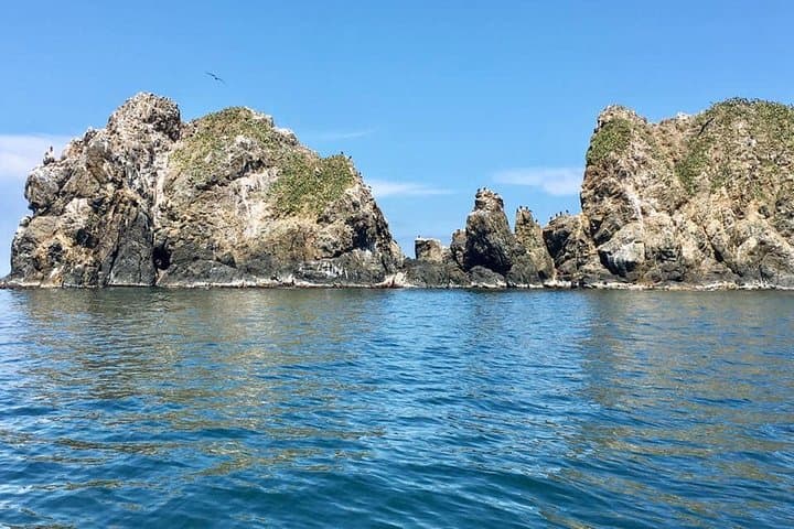 Punta Sal Day Trip: Jeannette Kawas National Park from San Pedro Sula