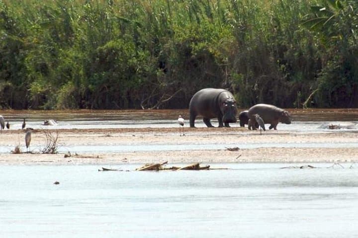 Bujumbura Half-Day Tour: Cycle Lake Tanganyika, Mount Heha, Kibira & Rusizi photo 6