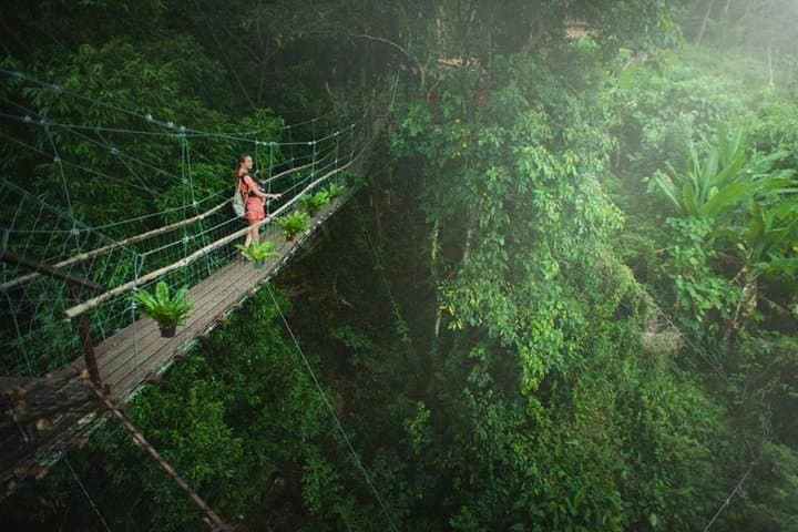 Bujumbura Half-Day Tour: Cycle Lake Tanganyika, Mount Heha, Kibira & Rusizi photo 3