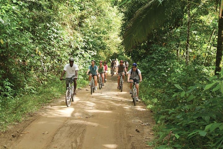 St Lucia Bike and Hike: Dennery Forest Trails & Errard Waterfall Half-Day Adventure photo 4