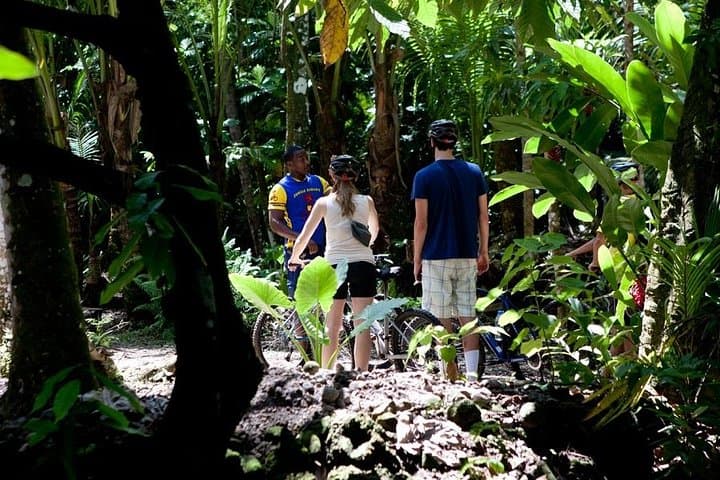 St Lucia Bike and Hike: Dennery Forest Trails & Errard Waterfall Half-Day Adventure photo 6