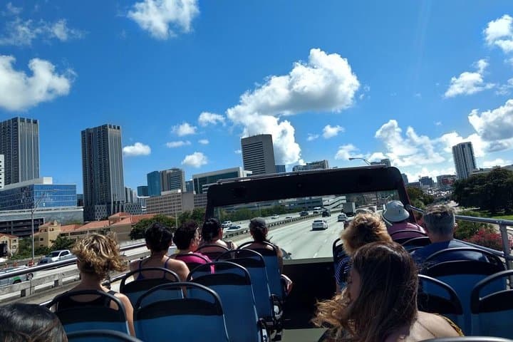Miami Combo Tour: Explore City, Biscayne Bay & Everglades in One Day photo 2