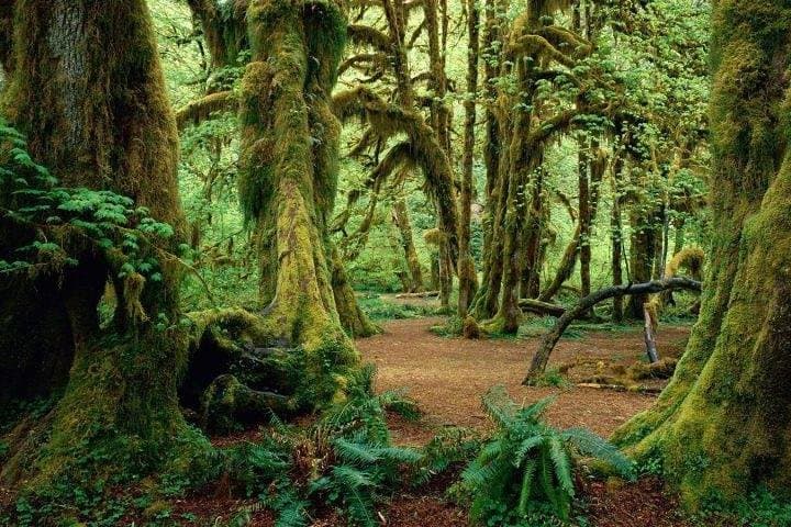 Short Wildlife and Nature Safari in Rumonge — Blue Bay, Hotsprings & Forests photo 4