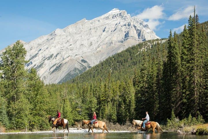 Explore Banff National Park on a 4-Hour Sulphur Mountain Horseback Ride